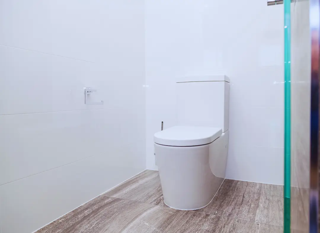 Remplacement de wc Lèves