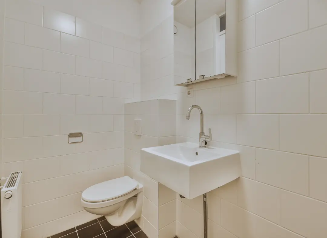 Pose WC Suspendu Lèves